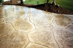 HOMEPAGEPICTURE-303x1901