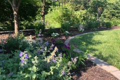 07_13_2021-Landscape-of-Week-bedding-area-with-trees-3