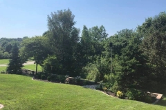 07_13_2021-Landscape-of-Week-bedding-area-with-trees-full-view