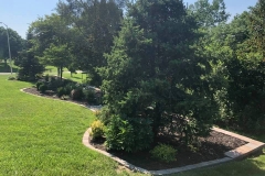 1_07_13_2021-Landscape-of-Week-bedding-area-with-trees-4