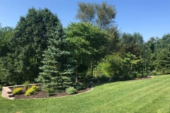 1_07_13_2021-Landscape-of-Week-bedding-area-with-trees