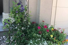 1_07_13_2021-Landscape-of-Week-front-porch-area-potted-plants