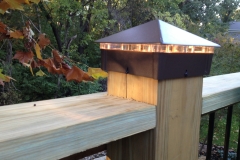 Full Features Landscape and Garden Center Landscape Lighting