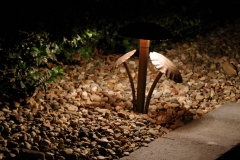 Full Features Landscape and Garden Center Landscape Lighting