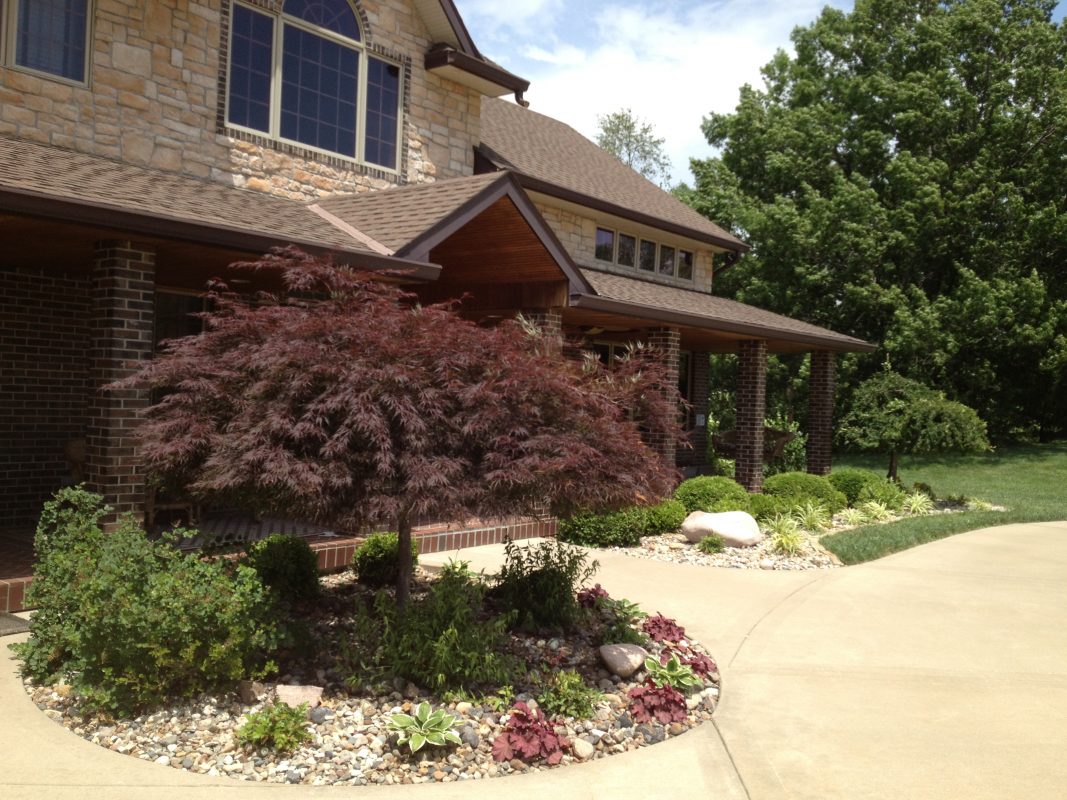 A photo of a landscaped stone bedding area using a variety of styles and sizes of stones on both sides of the sidewalk which enters the home. A variety of flowers, shrubs and trees are used in the two stone bedding areas.