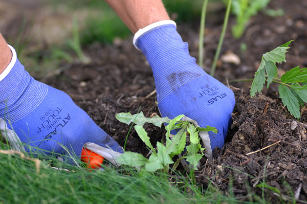 Pruning planting gloves
