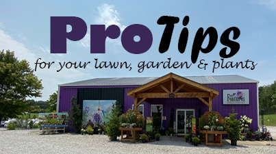 Garden Center Pro Tips