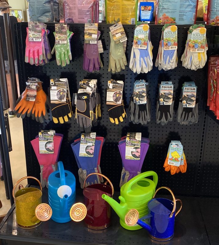 Display of various sizes, types and colors of gardening gloves hanging in rows. Watering cans on floor in front of gloves. On display at Full Features Garden Center.