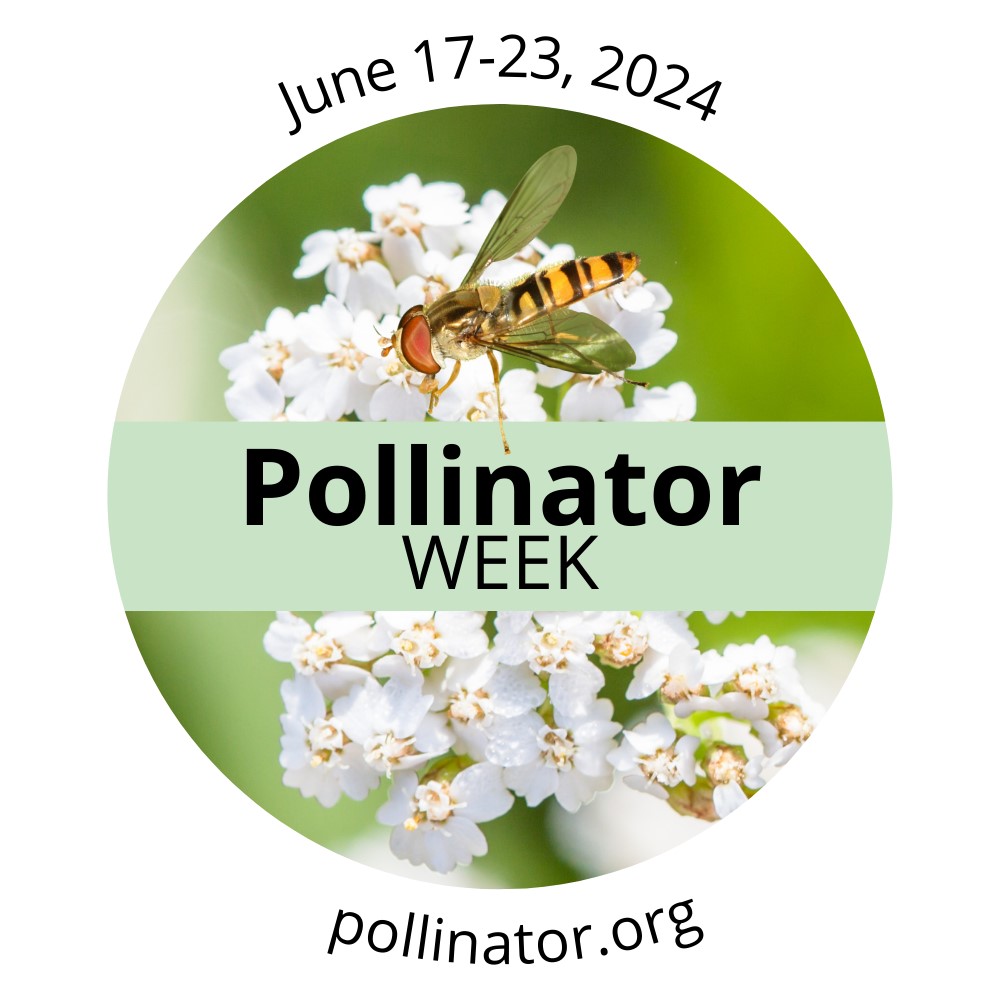 Pollinator Week logo 