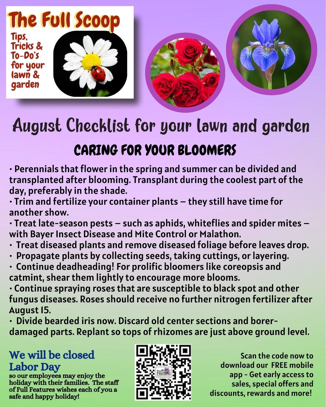 A graphic from the Pro Staff at Full Features Garden Center with a to-do list of things to do in August to care for blooming p[lants. Images include The Full Scoop logo, red roses on a bush, and a purple bearded iris. Other text states they will be closed Labor Day and encourages readers to scan the provided QR code to download the free mobile app.