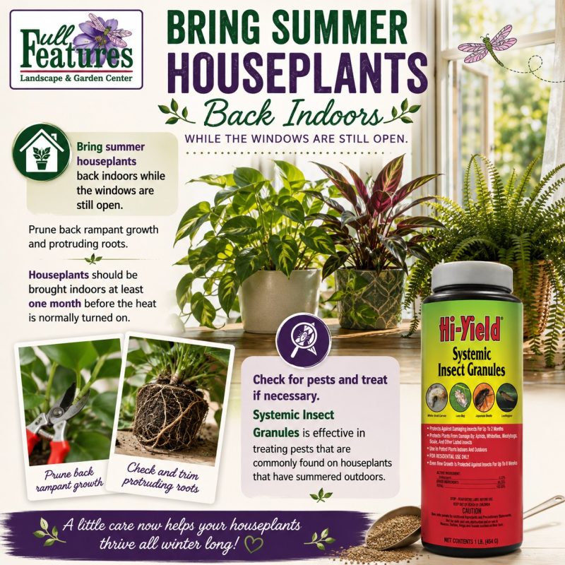 “Full Features Landscape & Garden Center infographic about bringing summer houseplants back indoors for fall. The graphic recommends bringing plants indoors before cold weather, pruning excessive growth, checking roots, inspecting for pests and treating problems when necessary, with a Garden Center Pharmacy message that The Doctor Is In.”